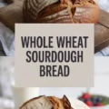 Easy Whole Wheat Sourdough Sandwich Bread Recipe