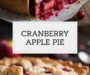 Cranberry Apple Pie Recipe