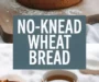 No Knead Whole Wheat Artisan Bread Recipe