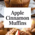 Apple Cinnamon Muffins Recipe