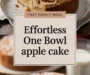 Effortless One Bowl Apple Cake Recipe