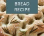 Rosemary Focaccia Bread Recipe