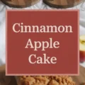 How To Make A Delicious Cinnamon Apple Cake Recipe